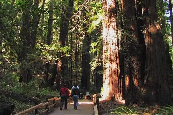 Muir Woods and Sausalito Morning Tour Small-Group Half Day - Final Thoughts: Who Should Take This Tour?