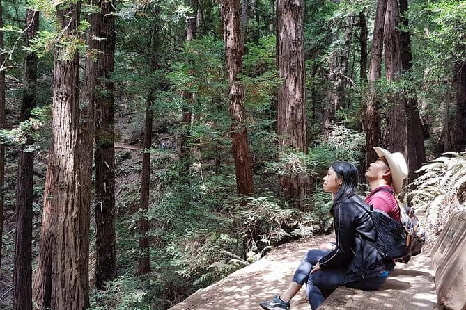 From San Francisco: Guided Tour to Muir Woods Coastal Redwoods - Frequently Asked Questions (FAQs)