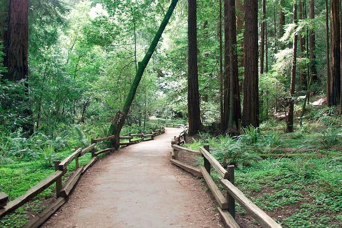 From San Francisco: Guided Tour to Muir Woods Coastal Redwoods - Who Will Love This Tour?