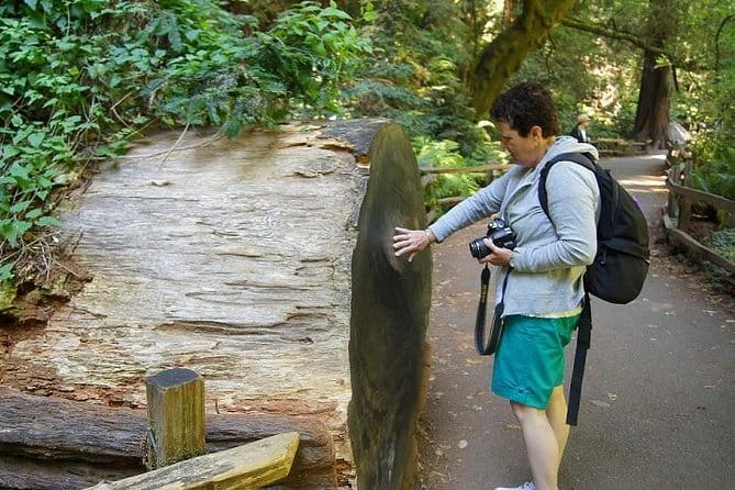 From San Francisco: Guided Tour to Muir Woods Coastal Redwoods - Timing and Flexibility