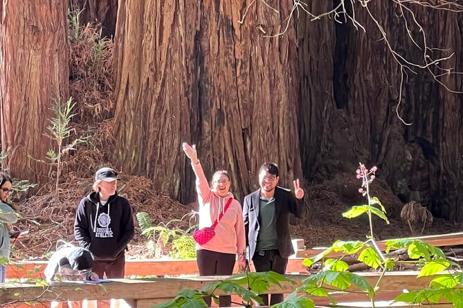 From San Francisco: Guided Tour to Muir Woods Coastal Redwoods - Price and Value