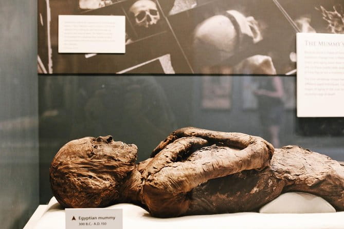 Smithsonian Museum of Natural History - Exclusive Guided Tour - FAQ