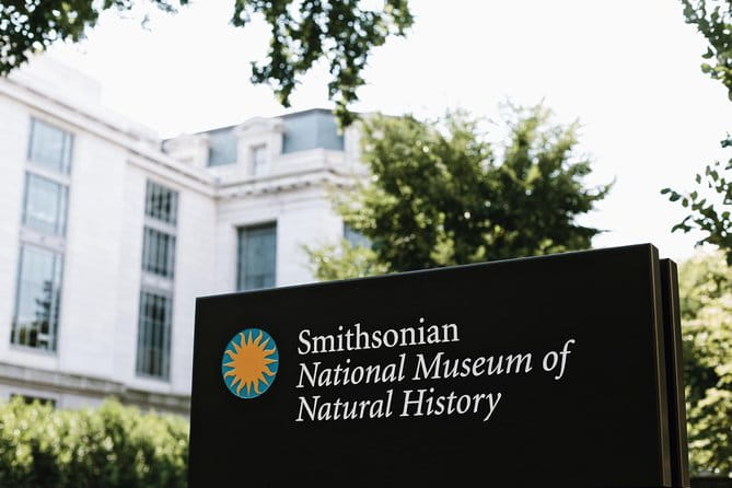 #1 Smithsonian Museum of Natural History | Satisfaction Guarantee - The Complete Experience of the Smithsonian Museum of Natural History Tour