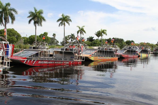 Everglades VIP Airboat Tour with Transportation Included - The Realities of the Tour
