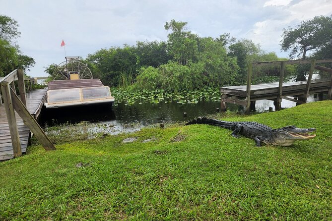Everglades National Park Biologist Led Adventure: Cruise, Hike + Airboat - FAQ