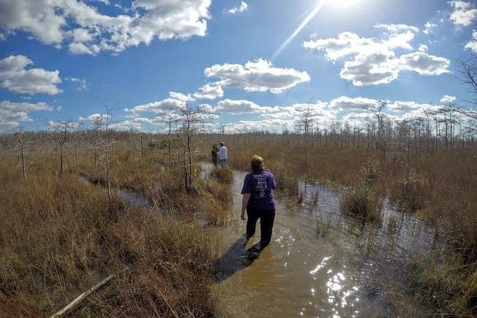 Everglades Tour w/ Biologist Led WET walk + 2 Boat Trips + Lunch! - The Practicalities: What to Expect