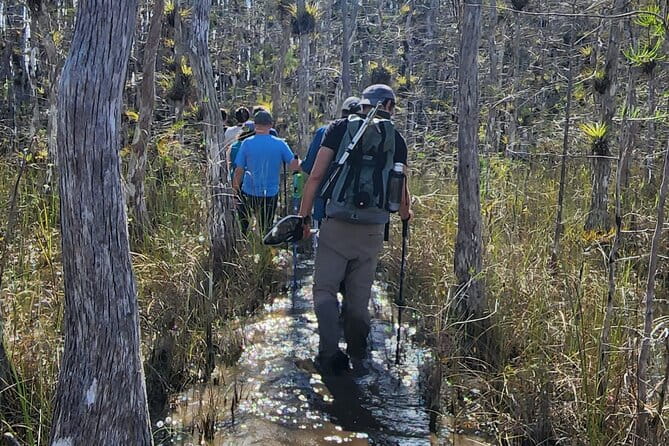 Everglades Tour w/ Biologist Led WET walk + 2 Boat Trips + Lunch! - FAQ: Your Questions About the Everglades Tour Answered