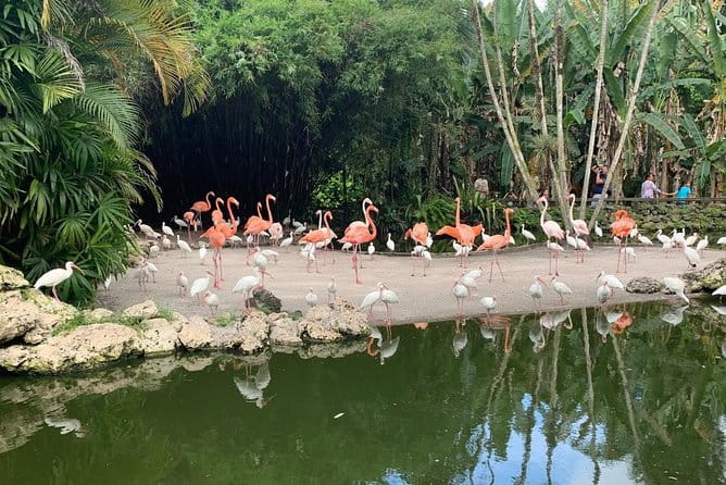 Skip the Line: Flamingo Gardens Admission Ticket in Fort Lauderdale - Who Will Love This Tour?