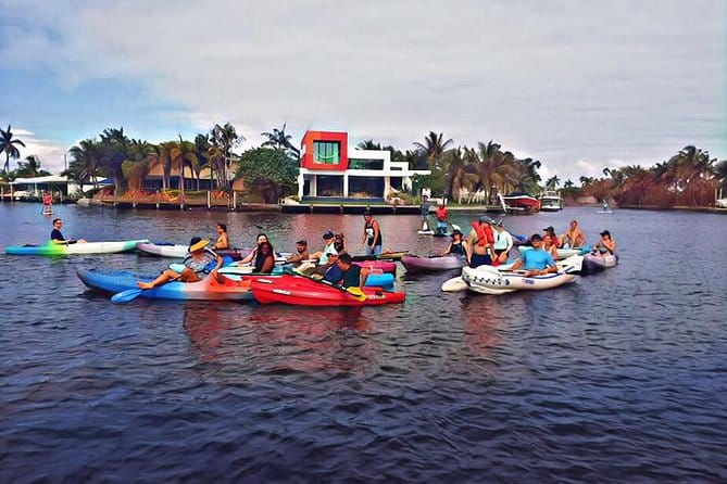 Kayak Rental: Explore Mangroves and Self-Navigated River Eco Paddle - Practical Tips for Future Kayakers