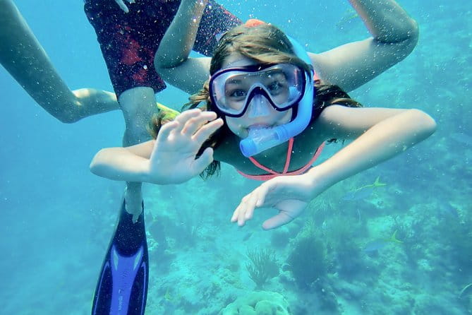 Private Looe Key Snorkel from Big Pine Key - Authentic Encounters and Genuine Reviews