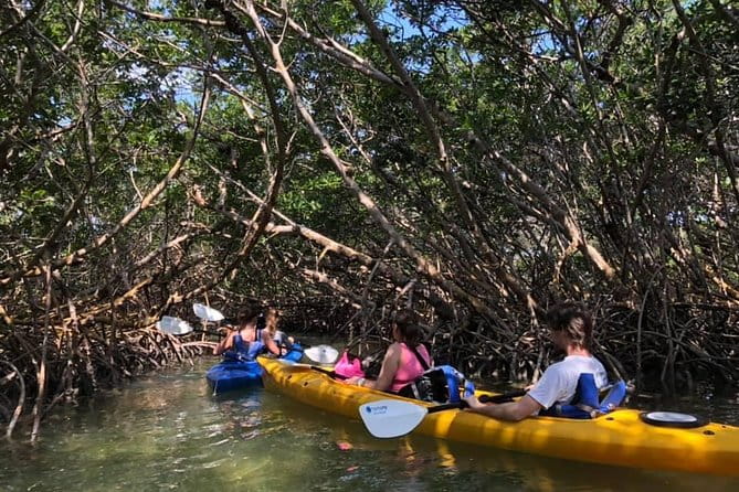 Key West Mangrove Kayak Eco Tour - The Value Proposition
