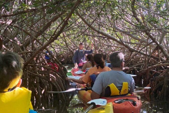Key West Mangrove Kayak Eco Tour - Final Thoughts