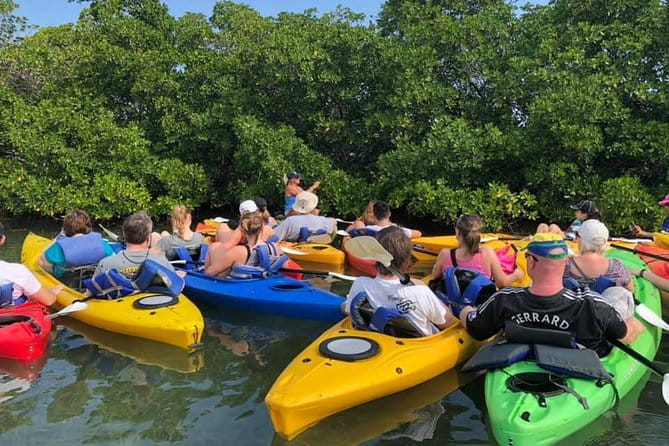 Key West Mangrove Kayak Eco Tour - Frequently Asked Questions