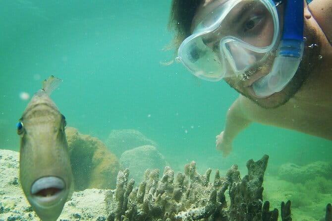 Biologist Owned & Operated: Dolphin Watching & Guided Snorkeling - Final Thoughts