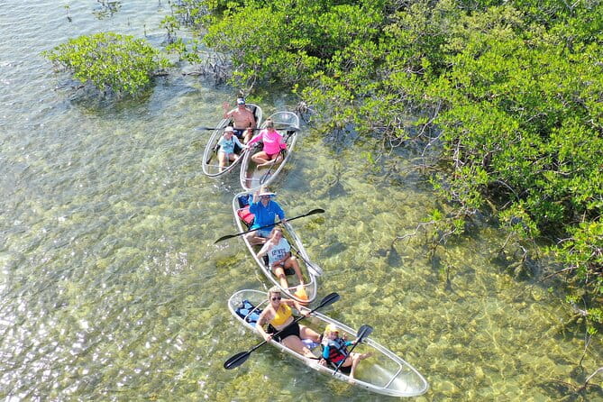 Guided Clear Kayak Eco-Tour Near Key West - The Authenticity and Authentic Experience