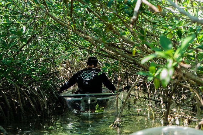 Guided Clear Kayak Eco-Tour Near Key West - The Sum Up: Who Will Love This Tour?