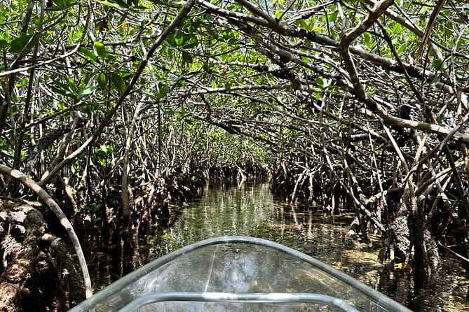 Guided Clear Kayak Eco-Tour Near Key West - FAQ (Frequently Asked Questions)