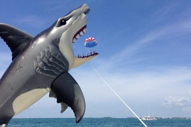 Parasailing over the Historic Key West Seaport - The Practical Details