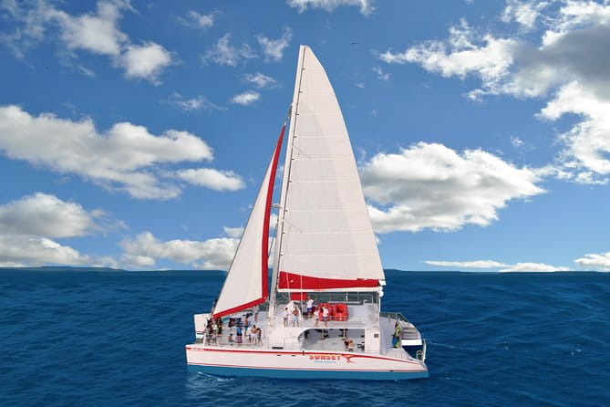 Sunset Sip and Sail Key West with Open Bar and Live Music - Food, Drinks, and Entertainment