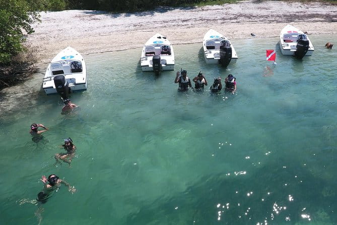 Key West Safari Eco Sandbar Tour Adventure with Snorkeling - Authenticity and Authentic Experiences
