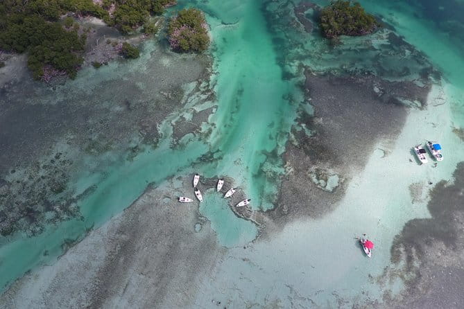 Key West Safari Eco Sandbar Tour Adventure with Snorkeling - The Sum Up: Who Is This Tour Best For?