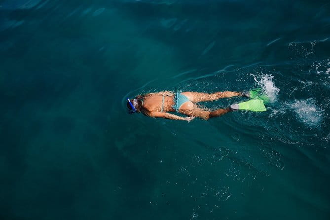 Key West Safari Eco Sandbar Tour Adventure with Snorkeling - Practical Tips for Travelers