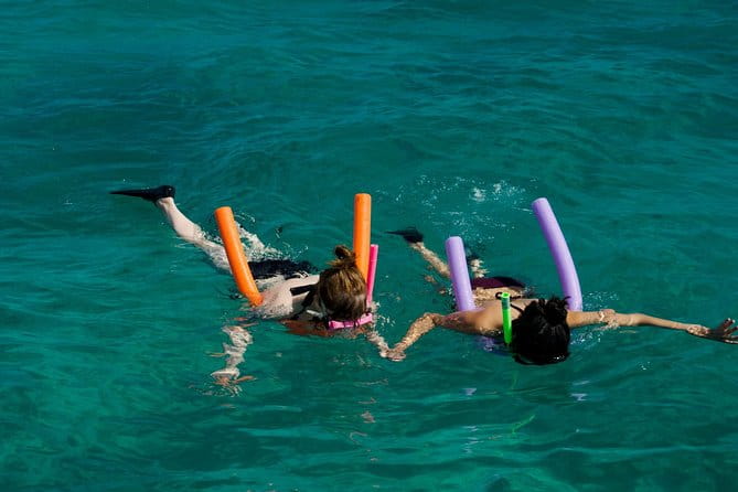 Shallow Water Snorkeling and Dolphin Watching in Key West - Food, Drinks, and Additional Comforts
