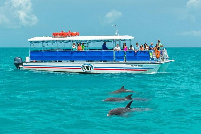 Key West Dolphin Watch and Snorkel Tour - Eco Adventure - The Value and Overall Experience