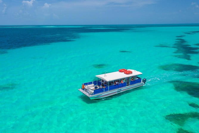 Key West Dolphin Watch and Snorkel Tour - Eco Adventure - Final Thoughts: Is This Tour Right for You?