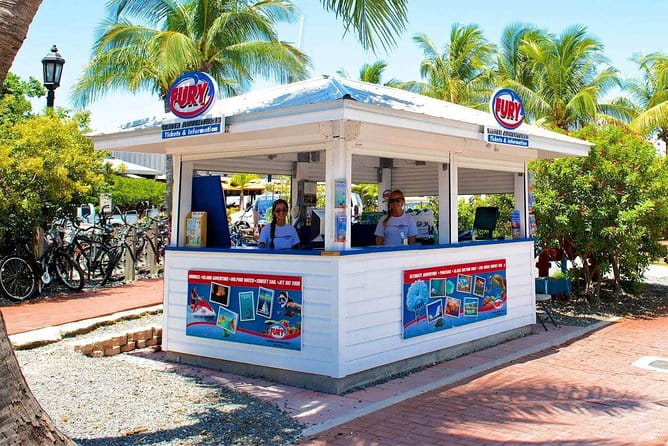 Key West Dolphin Watch and Snorkel Tour - Eco Adventure - FAQs