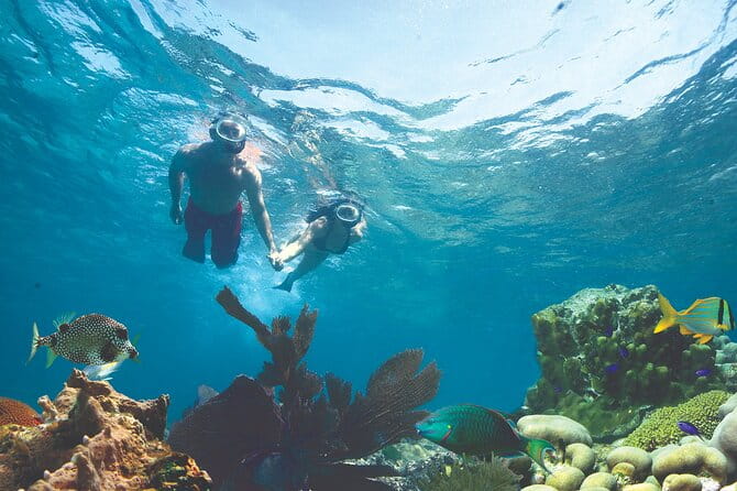 Key West Double-Dip Snorkel Tour-Two Stops, Twice the Fun! - Who Will Love This Tour?