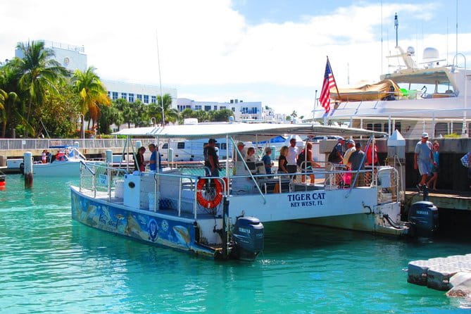 Shark and Wildlife Viewing Adventure in Key West - Final Thoughts: Is It Worth It?