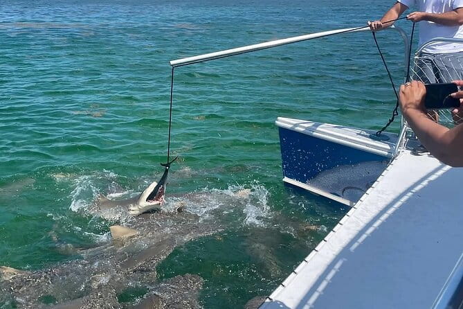Shark and Wildlife Viewing Adventure in Key West - FAQ