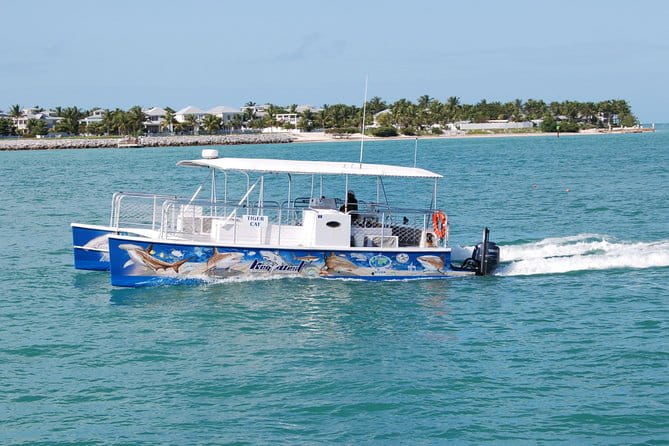 Shark and Wildlife Viewing Adventure in Key West - Authentic Traveler Feedback