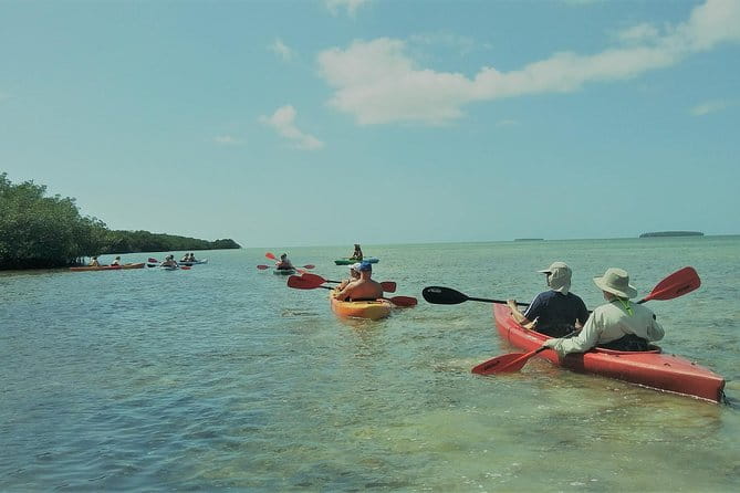 Half-Day Trip from Key West with Kayaking, Snorkeling & Sunset - Authentic Traveler Perspectives