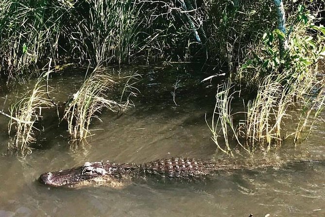 Everglades Tour from Miami with Transportation - Frequently Asked Questions