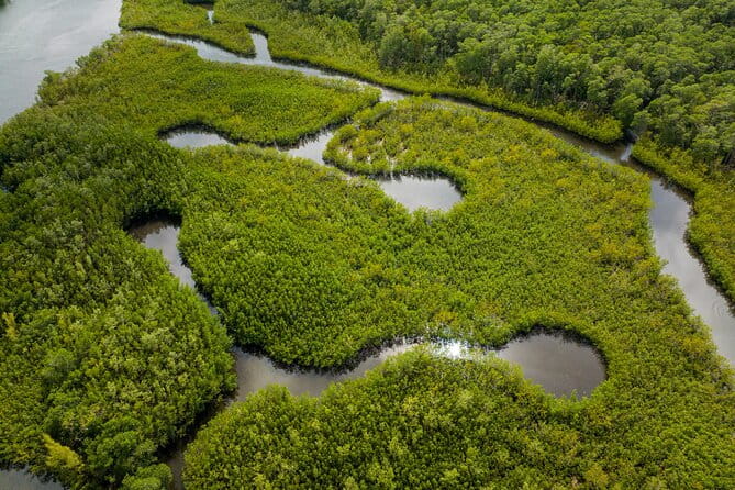 Clear Kayak Tour in North Miami Beach - Mangrove Tunnels - Practical Details and Tips