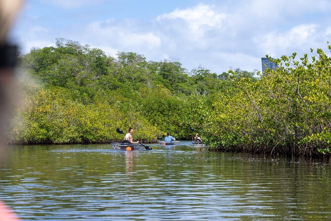 Clear Kayak Tour in North Miami Beach - Mangrove Tunnels - FAQs