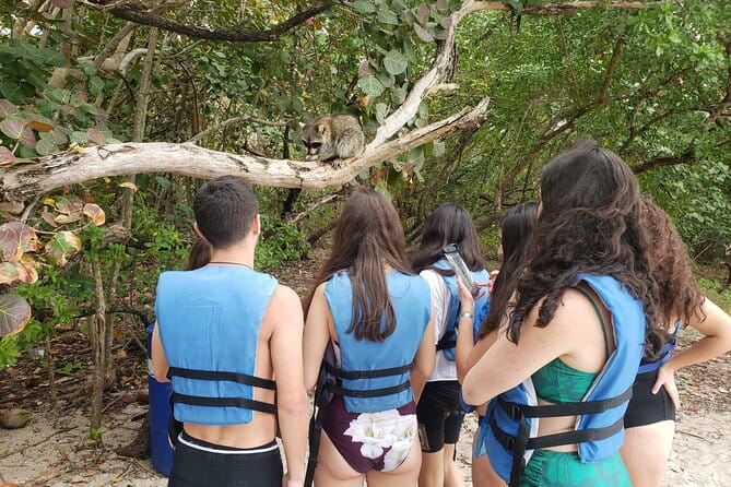 Nature & Island Exploration on SUP/Kayak - Who Will Love This Tour