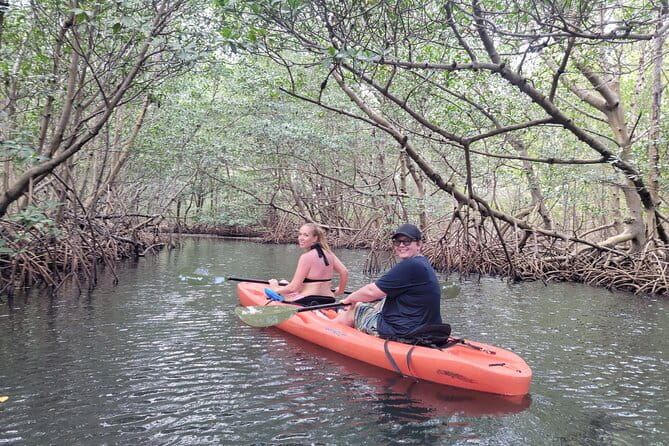 Nature & Island Exploration on SUP/Kayak - Who Should Book This Tour?