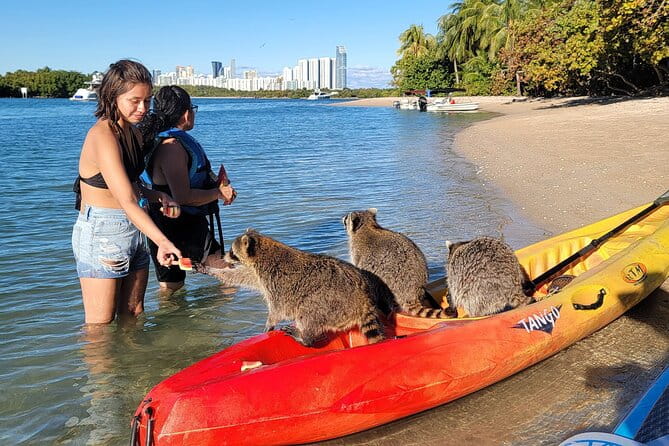 Nature & Island Exploration on SUP/Kayak - Practical Details and Considerations