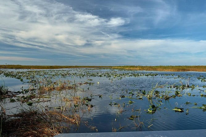 Half-day Everglades National Park Tour and 1-Hour Air Boat Ride - FAQ