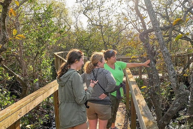Half-day Everglades National Park Tour and 1-Hour Air Boat Ride - Final Thoughts: Who Will Love This Tour?