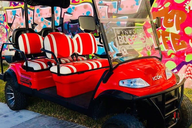 1 Hour WYNWOOD BUGGIES tour - The Practicalities