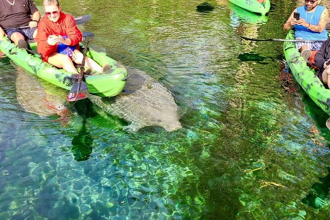 Clear Kayak or Paddleboard Manatee Adventure - Price and Value: Is It Worth It?