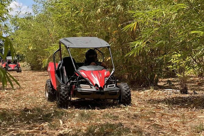 Bamboo Dune Buggy Tour - The Sum Up
