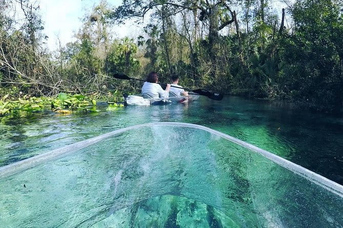 Rock Springs 2-Hour Glass Bottom Guided Kayak Eco Tour - FAQs