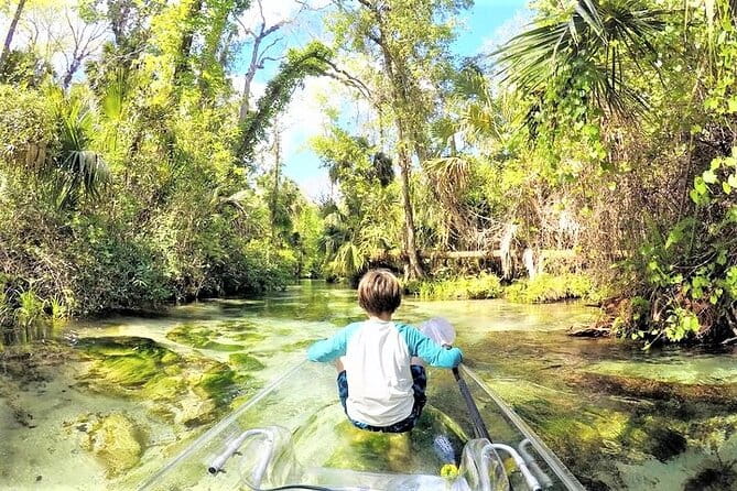 Rock Springs 2-Hour Glass Bottom Guided Kayak Eco Tour - Who Should Consider This Tour?