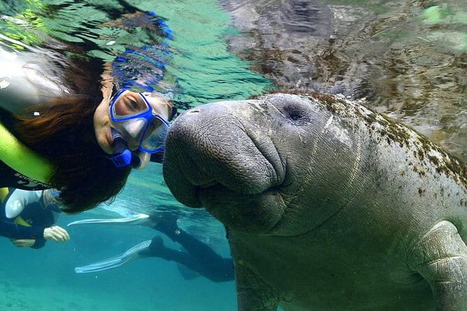 Manatee Swim and Wildlife Park with Upgrade Options from Orlando - Practical Details and What They Mean for You