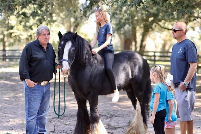 Gypsy Gold Horse Farm Tour - Practical Considerations